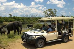 Chobe Safari Day Trip