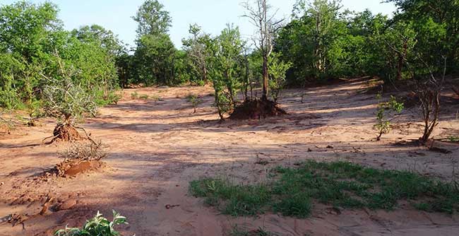 Soil Erosion Conservation