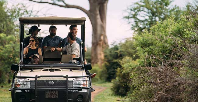 Morning or Afternoon Game Drives in the Zambezi National Park